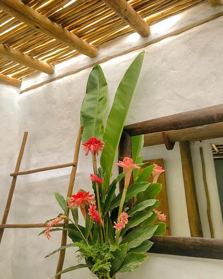 Hotel Vivertrancoso Extérieur photo